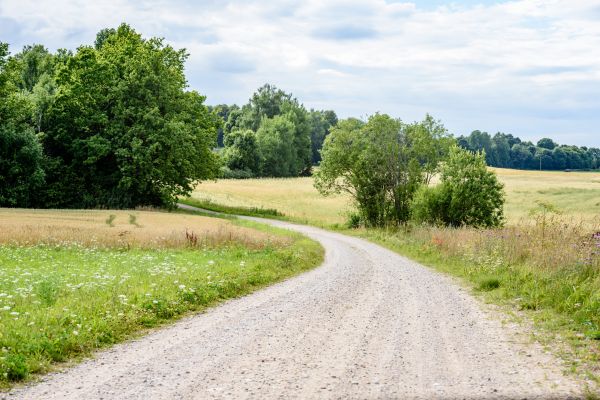 Cost of Stone Driveway Repair in Palm Harbor